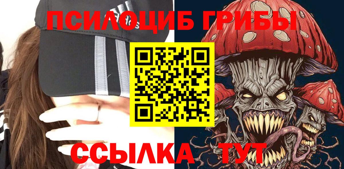 Псилоцибиновые грибы мицелий Донецк